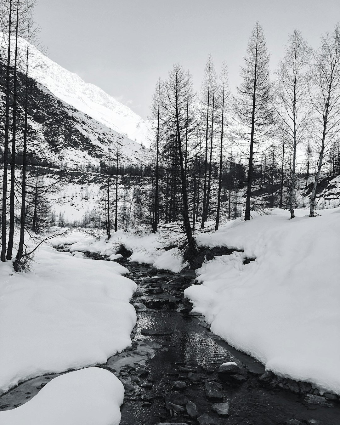 Services grayscale-photography-of-river-and-trees-covered-by-white-snow-lpzsebaq5q8
